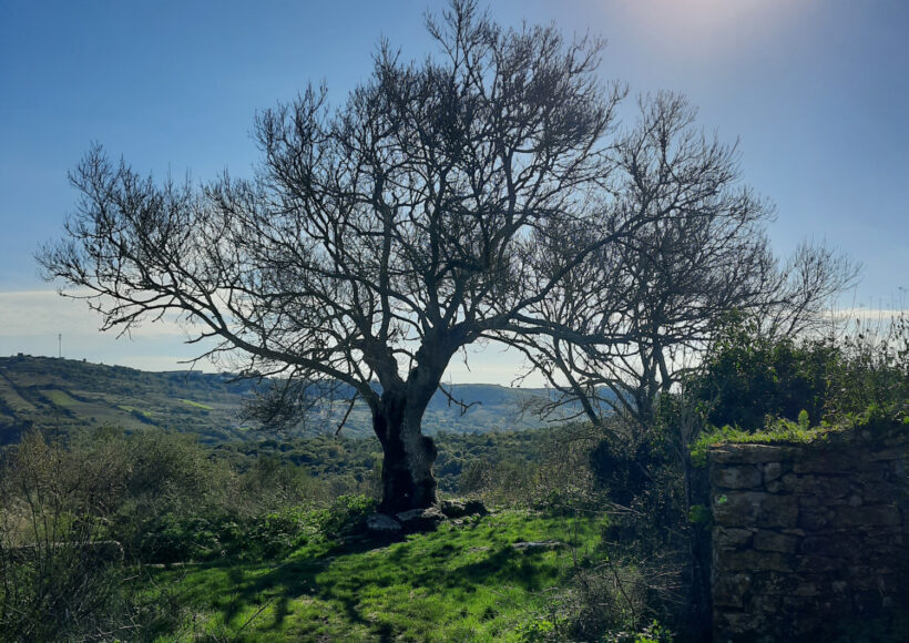 20251213_115856_small