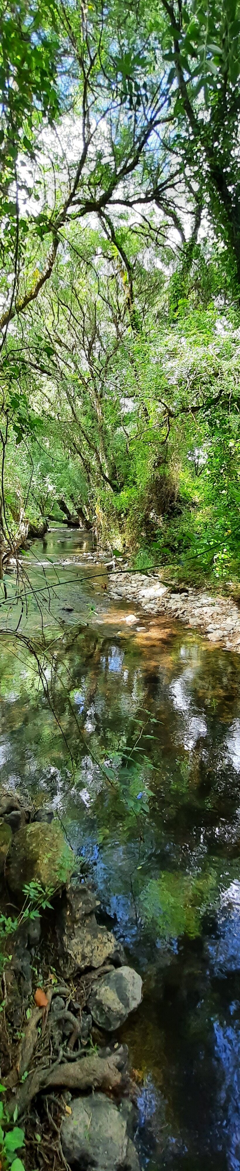 Trilho ao lado da ribeira de Cabrela