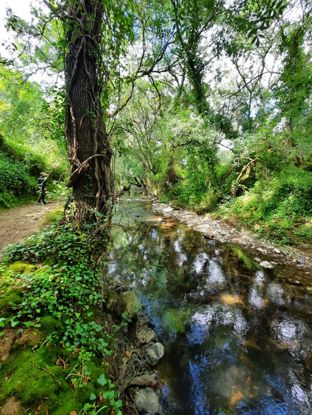 Trilho ao lado da ribeira de Cabrela