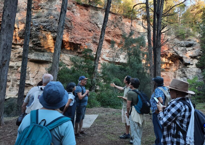 WhatsApp Image 2025-10-27 at 11.28.30_dd67a364