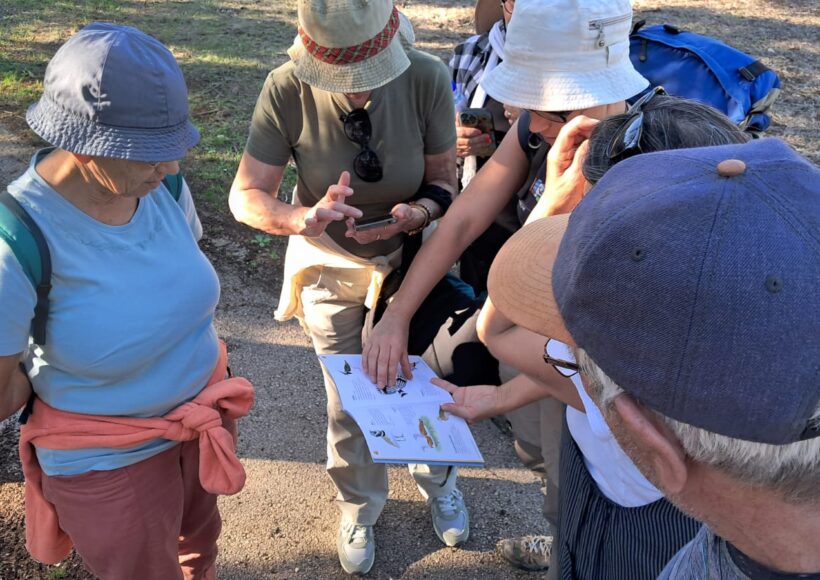 Guia a explicar aves observadas