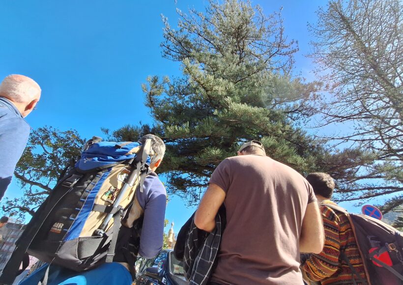 Grupo a observar araúcaria monumental em passeio pedestre