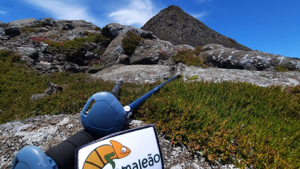 Bastões e logo do camaleão curioso na montanha do Pico