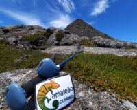 Bastões e logo do camaleão curioso na montanha do Pico