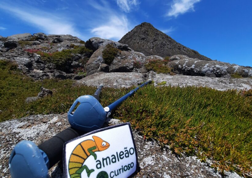 Bastões e logo do camaleão curioso na montanha do Pico